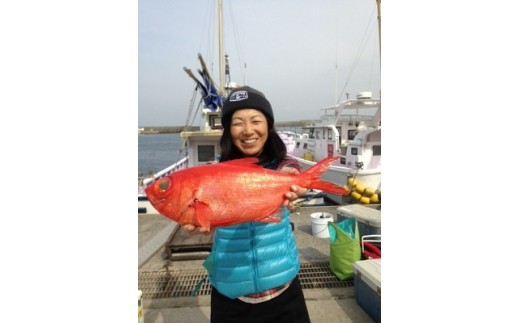 çš²åããã³ã¡ãã€ãé£ãè¹ãä¹è¹ãåªåŸ
åžãD005ïŒæå±±äžžããã±ãããéç®é¯ãé岡çãæ±äŒè±çº