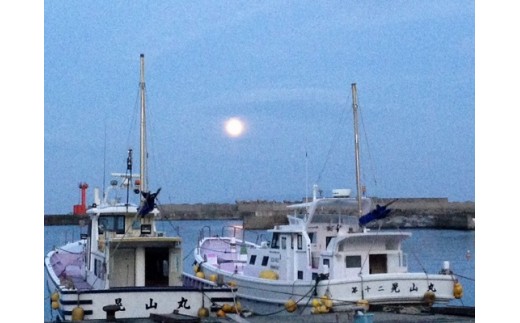 çš²åããã³ã¡ãã€ãé£ãè¹ãä¹è¹ãåªåŸ
åžãD005ïŒæå±±äžžããã±ãããéç®é¯ãé岡çãæ±äŒè±çº