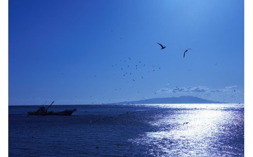 伊豆北川温泉「望水」食材の宝庫～ふじのくに～伊豆の恵を味わうお料理コース！１泊2食・２名様プラン　G008／チケット　温泉宿　静岡県　東伊豆町