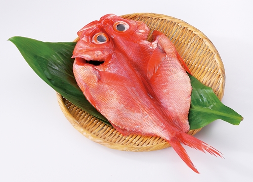 ãã§ããéç®é¯ã¥ãããD015ïŒåŸ³é äžžãé¯ãå§¿ç
®ãç
®ä»ãããã¶ããã¶ãéç®é¯ãã²ãã®ãé岡çãæ±äŒè±çº