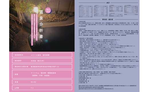 温泉　WAKUWAKU　熱川温泉　湯花満開　源泉　２L×３　タオル　パンフレットセット　1065