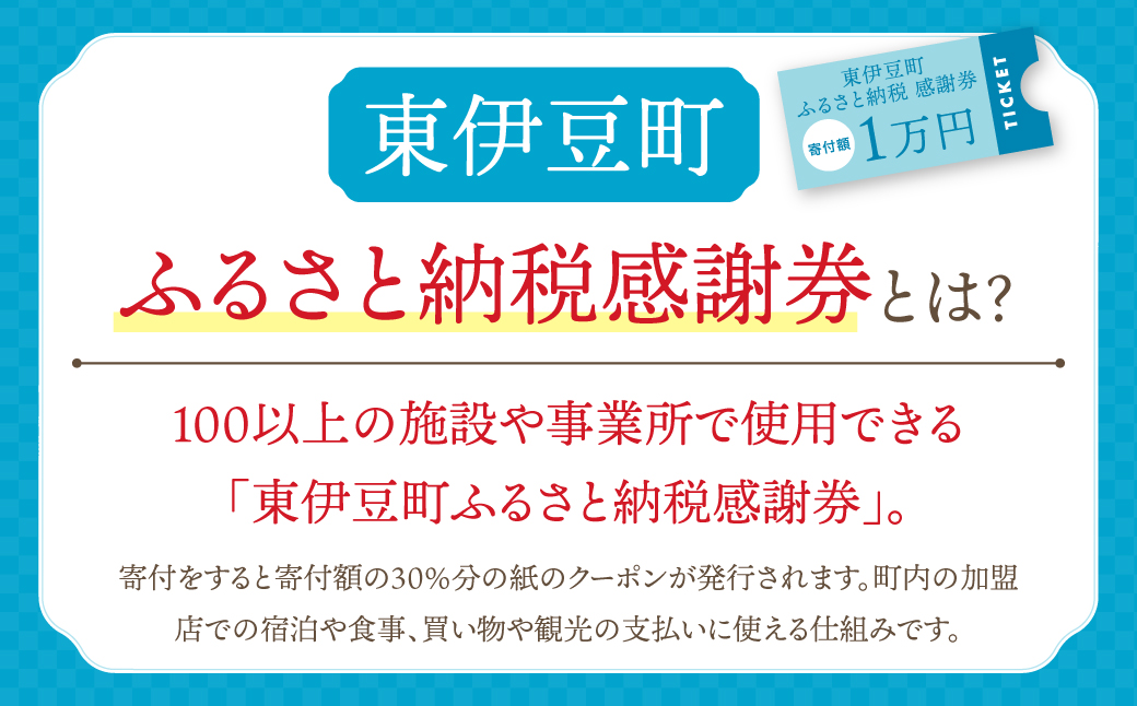 東伊豆町 ふるさと納税 感謝券 60000円 1076 ／ 静岡県 旅行 宿泊 食事 観光 チケット クーポン 補助 リフォーム ホテル 動物園 海鮮 みかん 金目鯛 稲取 熱川 ギフト 土産