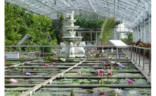 熱川バナナワニ園　入園　招待券　4枚　B002／熱帯　動植物園　チケット　静岡県　東伊豆町