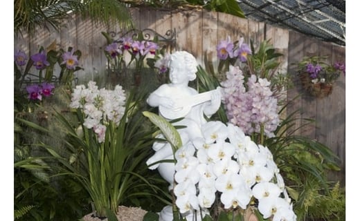 熱川バナナワニ園　入園　招待券　4枚　B002／熱帯　動植物園　チケット　静岡県　東伊豆町