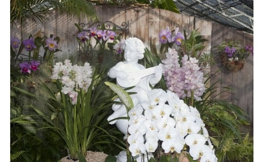 熱川バナナワニ園 入園 招待券 2枚 A004 ／ 熱帯 動植物園 チケット 静岡県 東伊豆町