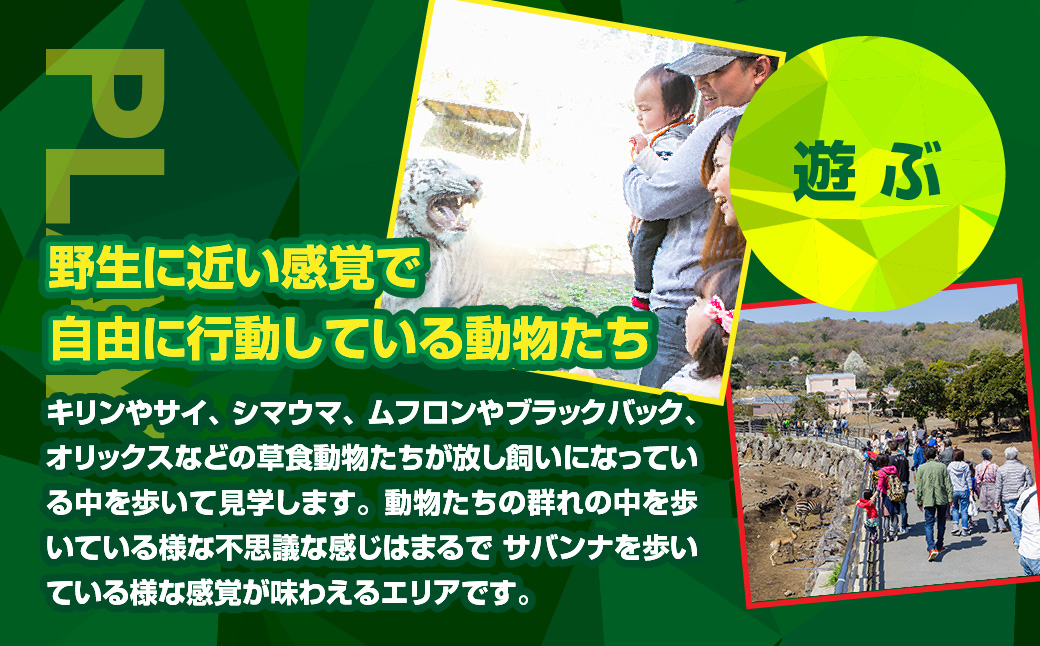 äŒè±ã¢ããã«ãã³ã°ãã å
¥ååž 2æ A003 ïŒ åç©å ãã±ãã æåŸ
åž éå²¡ç æ±äŒè±çº