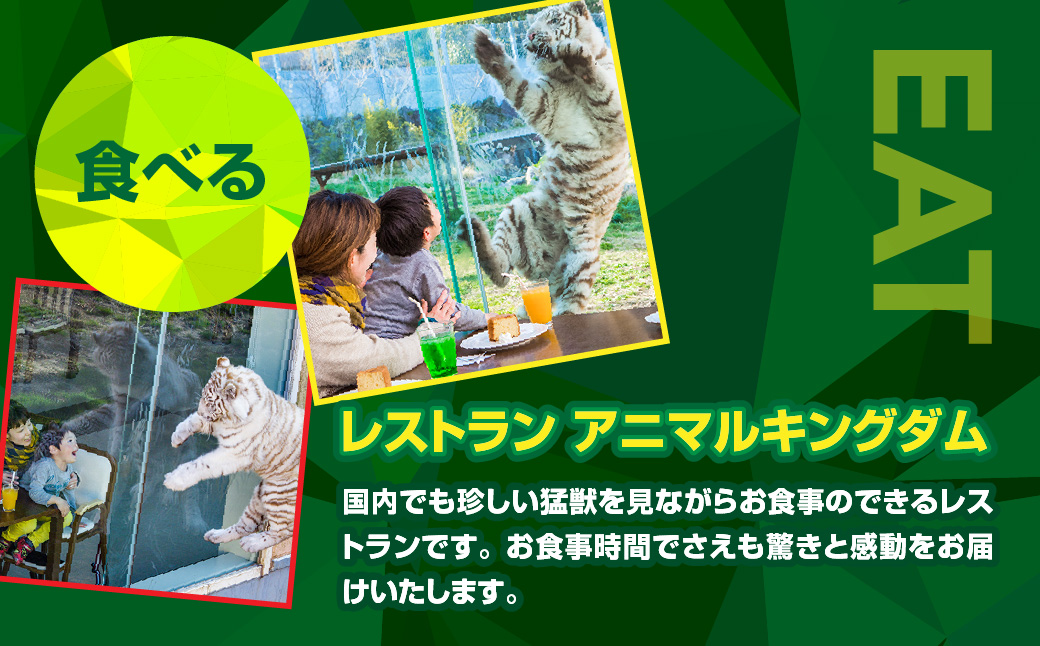 äŒè±ã¢ããã«ãã³ã°ãã å
¥ååž 2æ A003 ïŒ åç©å ãã±ãã æåŸ
åž éå²¡ç æ±äŒè±çº