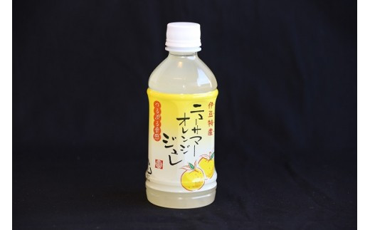 ニューサマーオレンジ　ジュレ　ゼリーdeシャーベット(小)　A016／甘味しるこや悠遊庵　ゼリー　ジュース　静岡県　東伊豆町