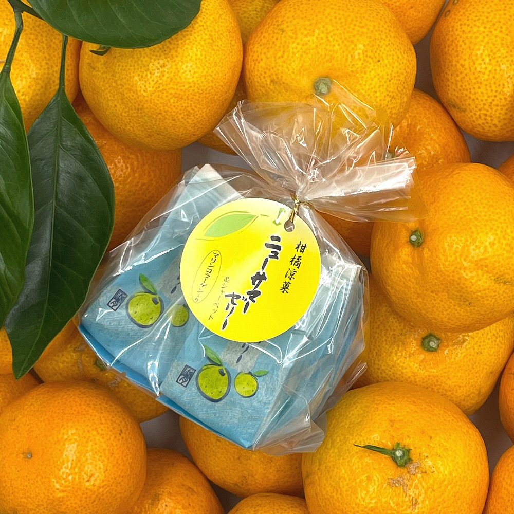 倧容é ãã¥ãŒãµããŒãªã¬ã³ãžã¥ãã ãèå ãµã€ã㌠詰ãåãã ã»ãã 1287 ïŒ æ±äŒè±çº