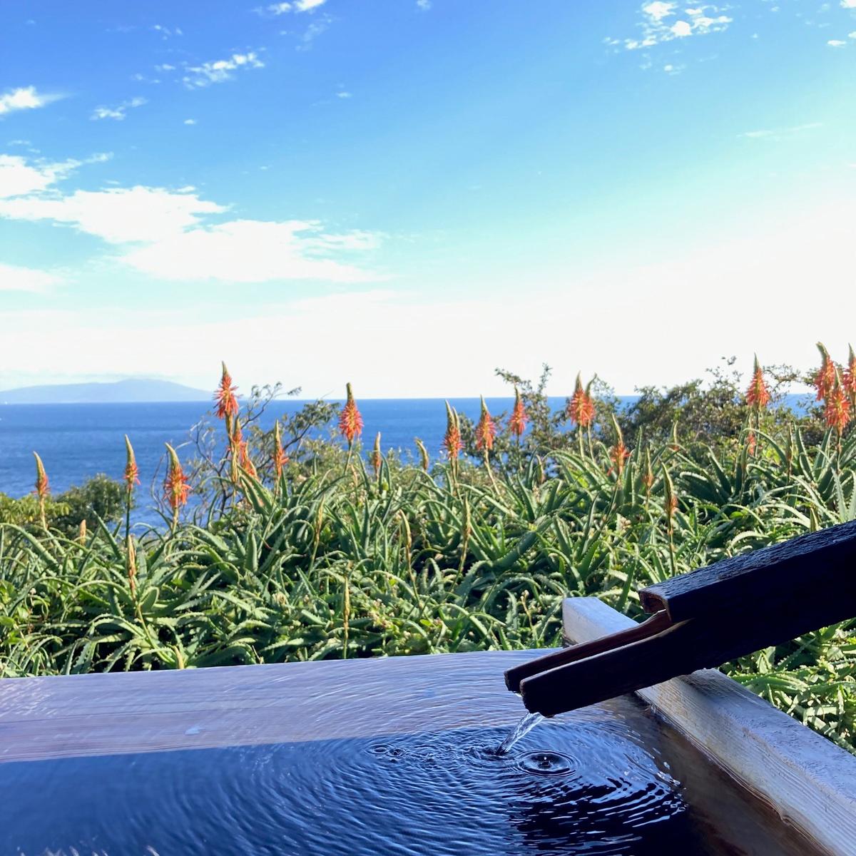 愛犬と泊まる源泉かけ流しの湯宿 湯宿福の湯 宿泊補助券 15,000円分 1293 ／ 福の湯 静岡県 東伊豆 伊豆 愛犬 ペット 泊まれる