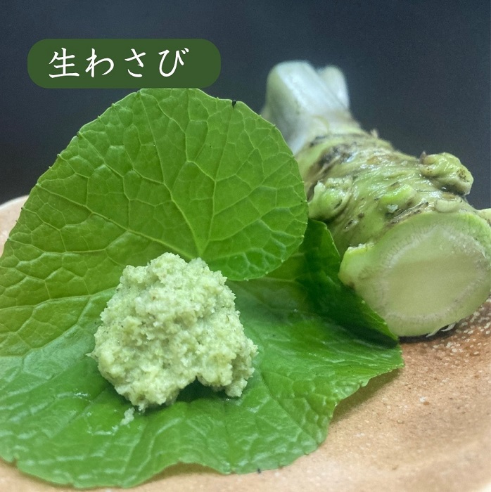 （冷蔵）わさび農家直送　無添加こだわり加工品+　生わさびセット 1383 ／ 大川因わさび園 わさび漬 わさび茎漬 わさび味噌 静岡県