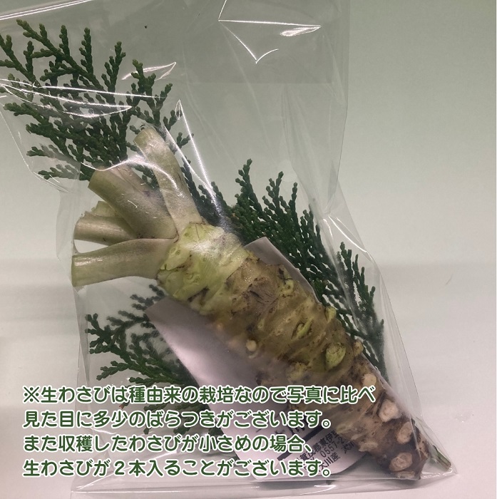 （冷蔵）わさび農家直送　無添加こだわり加工品+　生わさびセット 1383 ／ 大川因わさび園 わさび漬 わさび茎漬 わさび味噌 静岡県