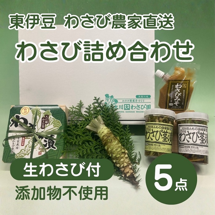 （冷蔵）わさび農家直送　無添加こだわり加工品+　生わさびDXセット 1384 ／ 大川因わさび園 わさび漬 わさび茎漬 わさび味噌 静岡県
