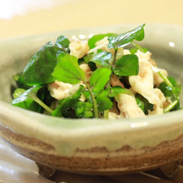 愛犬と泊まる源泉かけ流しの小さな湯宿 湯宿福の湯 特定日限定宿泊券１泊２食付き１室２名様ご利用 1401 ／ 福の湯 静岡県 東伊豆 伊豆 愛犬 ペット 泊まれる