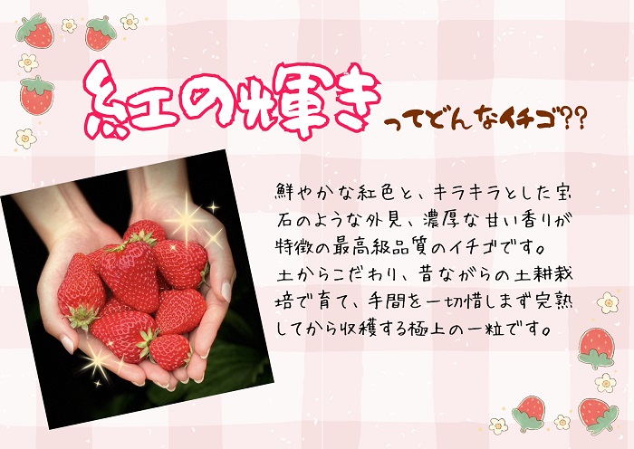 （冷蔵）【3月～4月発送】朝摘みいちご 紅の輝き　約1.1kg（約280ｇ×4パック） 1403 ／ たむらファーム いちご 苺 大粒 完熟 農家直送 静岡県 東伊豆町