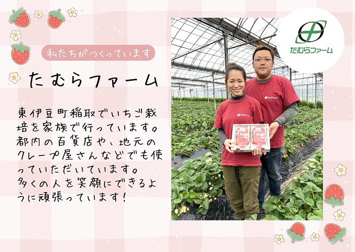 （冷蔵）【3月～4月発送】朝摘みいちご 紅の輝き　約1.1kg（約280ｇ×4パック） 1403 ／ たむらファーム いちご 苺 大粒 完熟 農家直送 静岡県 東伊豆町