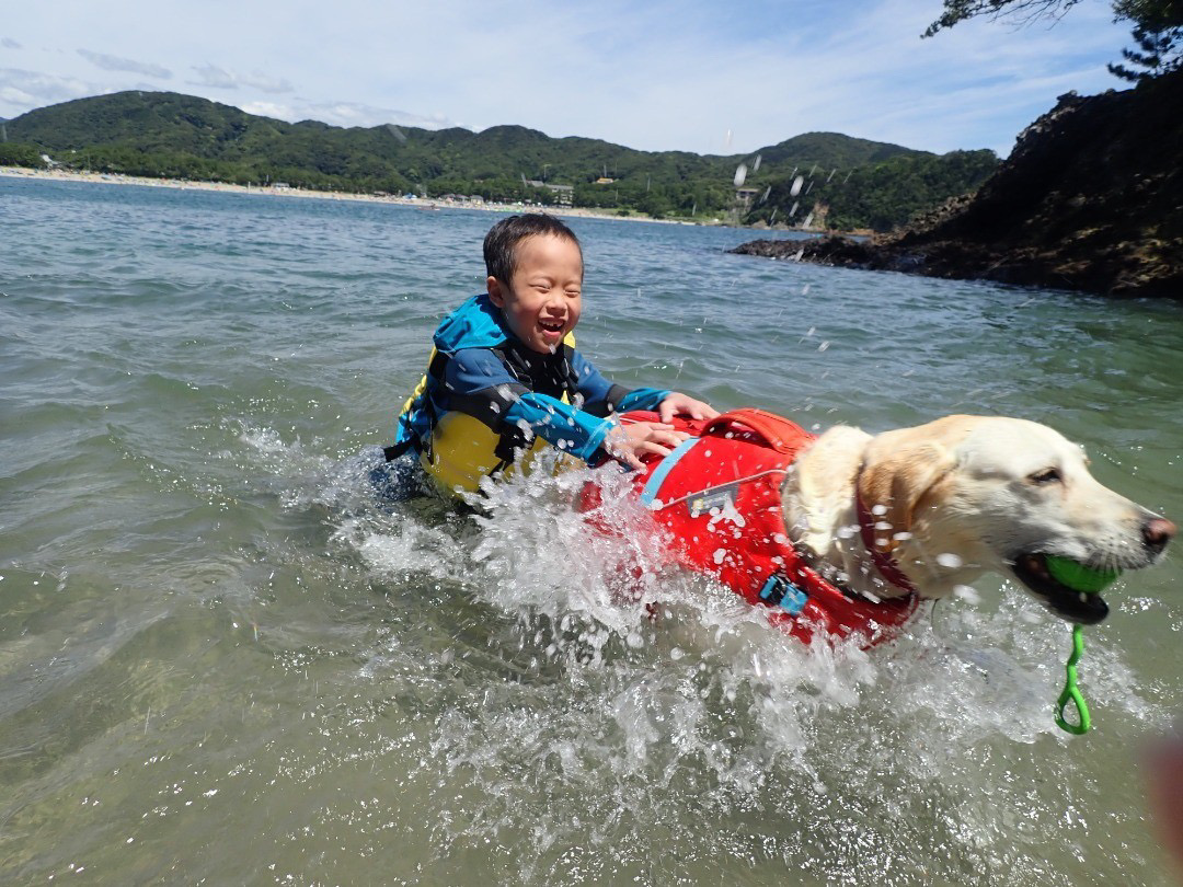 愛犬と一緒にシーカヤック 湊カフェ＆Pirates 施設利用券〈9,000円分〉　【 伊豆 アウトドア 犬 観光 カヤック 初心者 海 シーアクティビティ ふるさと納税 静岡 】