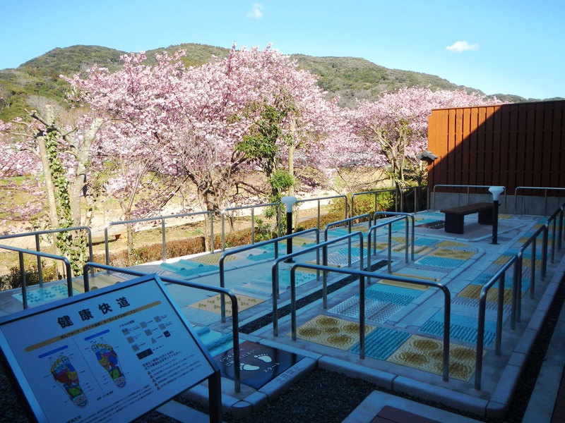 驫縺ョ貉ッ莨夐、ィ 蜈・豬エ蛻ク30譫壹縲 貂ゥ豕牙茜逕ィ蛻ク 蜈・豬エ蛻ク 貂ゥ豕牙虻 貂ゥ豕 譌陦 譌・蟶ー繧頑クゥ豕 蜈・豬エ 譌陦 隕ウ蜈 莨願ア 蜊嶺シ願ア 縲