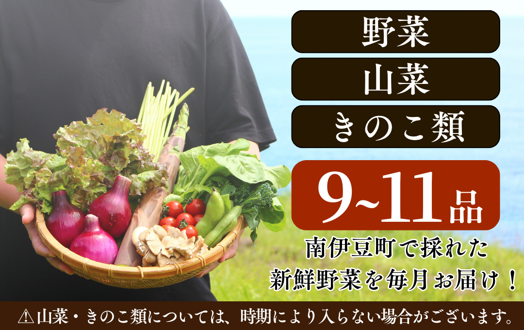 旬の野菜セット　【 野菜 やさい きのこ 山菜 セット 定期 旬 定期便 人気 詰め合わせ 1ヵ月 おまかせ 新鮮 】　<BC-14>