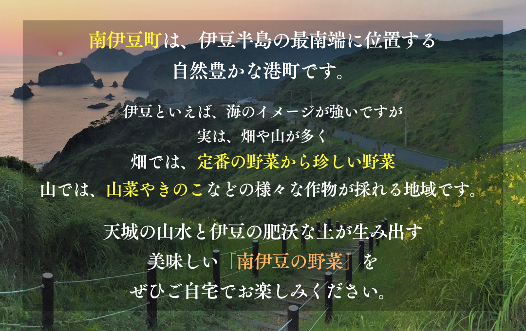 【定期便】 海まち野菜と果物セット 6ヶ月間の定期便　【 野菜 やさい きのこ 山菜 柑橘 みかん 果物 フルーツ セット 定期 旬 定期便 人気 詰め合わせ 6ヵ月 おまかせ 新鮮 】　<BC-58>