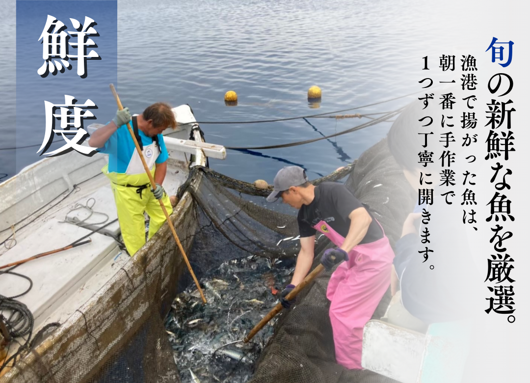 ひもの直送便セット　【 干物 ひもの セット 詰め合わせ 静岡県産 伊豆 魚介類 アジ 金目鯛 キンメ きびなご みりん かます 冷凍 人気 おすすめ 】　<J-5>