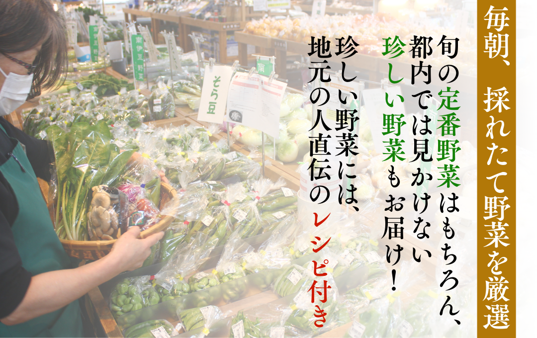 【定期便】 海まち野菜セット 3ヶ月の定期便　【 野菜 やさい きのこ 山菜 セット 定期 旬 定期便 人気 詰め合わせ 3ヵ月 おまかせ 新鮮 】　<BC-49>