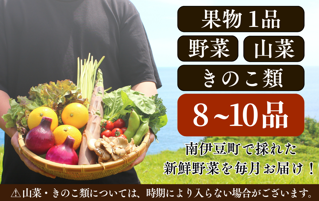 【定期便】 海まち野菜と果物セット 1年間の定期便　【 野菜 やさい きのこ 山菜 柑橘 みかん 果物 フルーツ セット 定期 旬 定期便 人気 詰め合わせ 12ヵ月 おまかせ 新鮮 】　<BC-63>