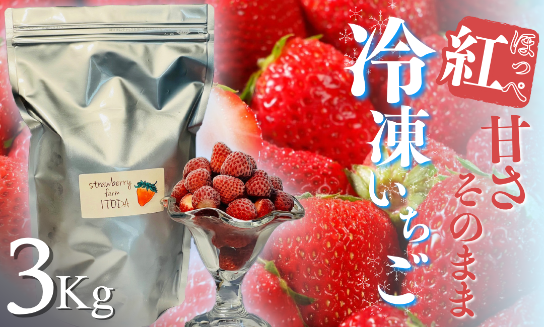 地元JA品評会金賞受賞　冷凍イチゴ3Kg　【 いちご 果物 フルーツ 苺 イチゴ 冷凍 果物 フローズン くだもの 大容量 静岡県産 期間限定 】　<AO-5>