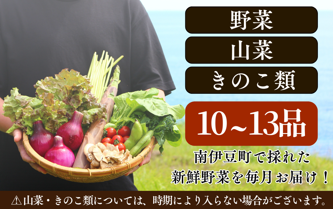 【定期便】 海まち野菜セット 6ヶ月の定期便　【 野菜 やさい きのこ 山菜 セット 定期 旬 定期便 人気 詰め合わせ 6ヵ月 おまかせ 新鮮 】　<BC-57>