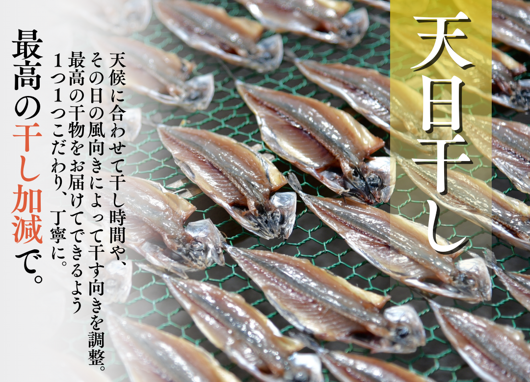 ひもの直送便セット　【 干物 ひもの セット 詰め合わせ 静岡県産 伊豆 魚介類 アジ 金目鯛 キンメ きびなご みりん かます 冷凍 人気 おすすめ 】　<J-5>