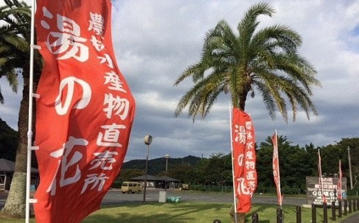 湯の花　アジの干物１０枚セット　干物 干物セット ひもの アジ あじ 詰め合わせ 伊豆 海鮮 静岡県産　<BC-93>