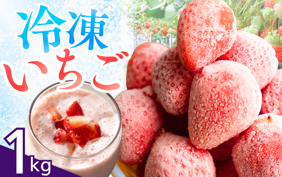【先行予約＿2026年出荷分】完熟冷凍イチゴ　1kg（約3.8パック相当） 恋みのり、かおり野　から厳選　【 いちご 果物 フルーツ 苺 イチゴ 冷凍 果物 フローズン くだもの 大容量 静岡県産 期間限定 】　<AA-1>