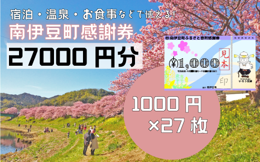 南伊豆町ふるさと寄附感謝券27枚【 伊豆 宿泊 旅行 宿 旅館 観光 グルメ 食事 アクティビティ 南伊豆 クーポン 宿泊券 ヒリゾ浜 SUP カヤック 桜 静岡 】　<BE-12>