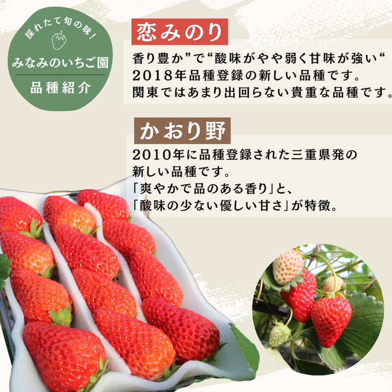 【先行予約＿2026年出荷分】完熟いちご280g 4パック（DXパック）恋みのり、かおり野から厳選　【 苺 いちご イチゴ 恋みのり かおり野 産地直送 旬 果物 フルーツ くだもの 静岡県 伊豆 南伊豆町 期間限定 】　<AA-4>