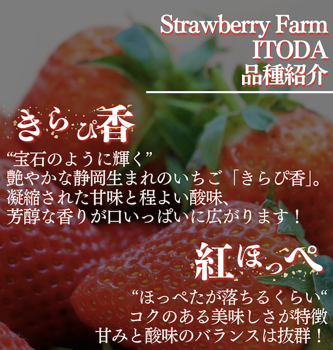 【先行予約＿2026年出荷分】地元JA品評会金賞受賞　冷凍イチゴ3Kg　【 いちご 果物 フルーツ 苺 イチゴ 冷凍 果物 フローズン くだもの 大容量 静岡県産 期間限定 】　<AO-5>