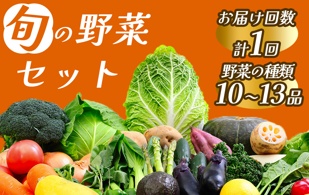  海まち野菜セット　【 野菜 やさい きのこ 山菜 セット 定期 旬 定期便 人気 詰め合わせ 1ヵ月 おまかせ 新鮮 】　<BC-14>