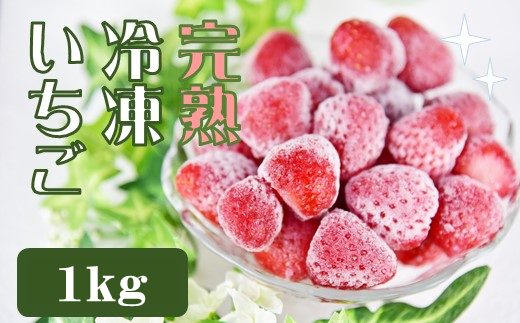 【 先行予約 _ 2025年2月以降順次配送】特別賞受賞！完熟冷凍いちご 1kg BabyBerryFarm　いちご 果物 フルーツ 苺 イチゴ 冷凍 くだもの 静岡県産 期間限定　<A-1>