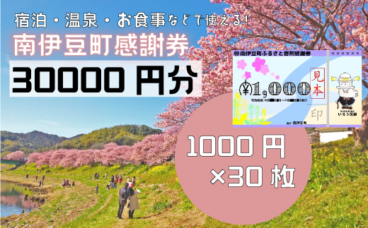 南伊豆町ふるさと寄附感謝券30枚【 伊豆 宿泊 旅行 宿 旅館 観光 グルメ 食事 アクティビティ 南伊豆 クーポン 宿泊券 ヒリゾ浜 SUP カヤック 桜 静岡 】　<BE-13>