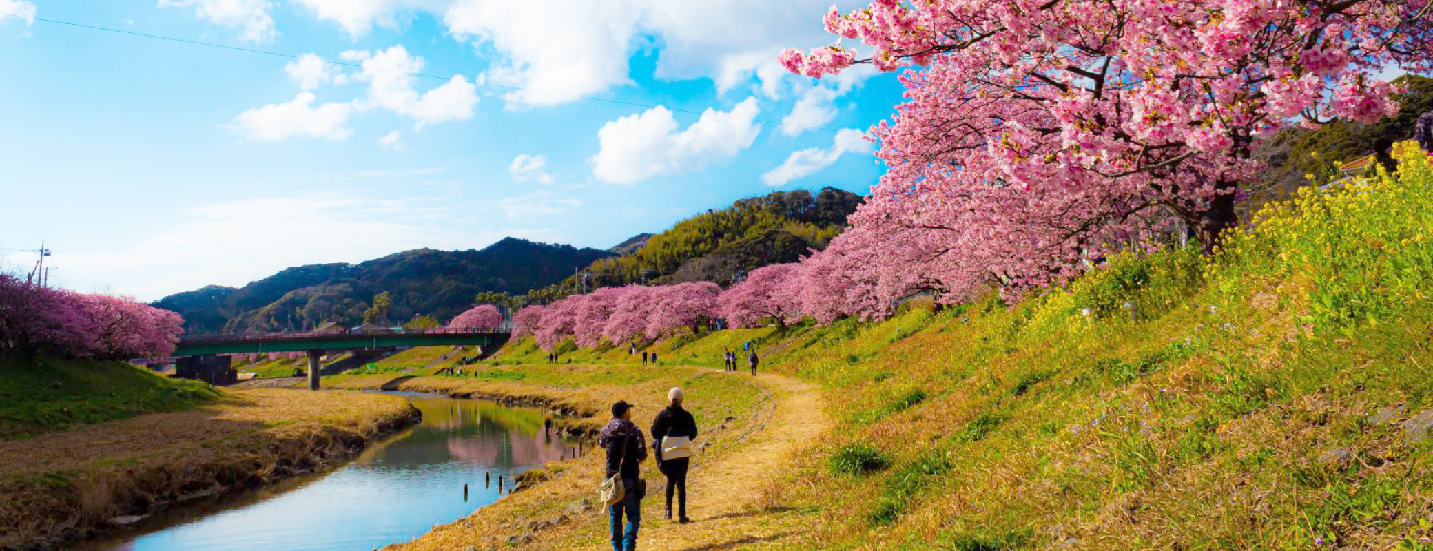 静岡県南伊豆町