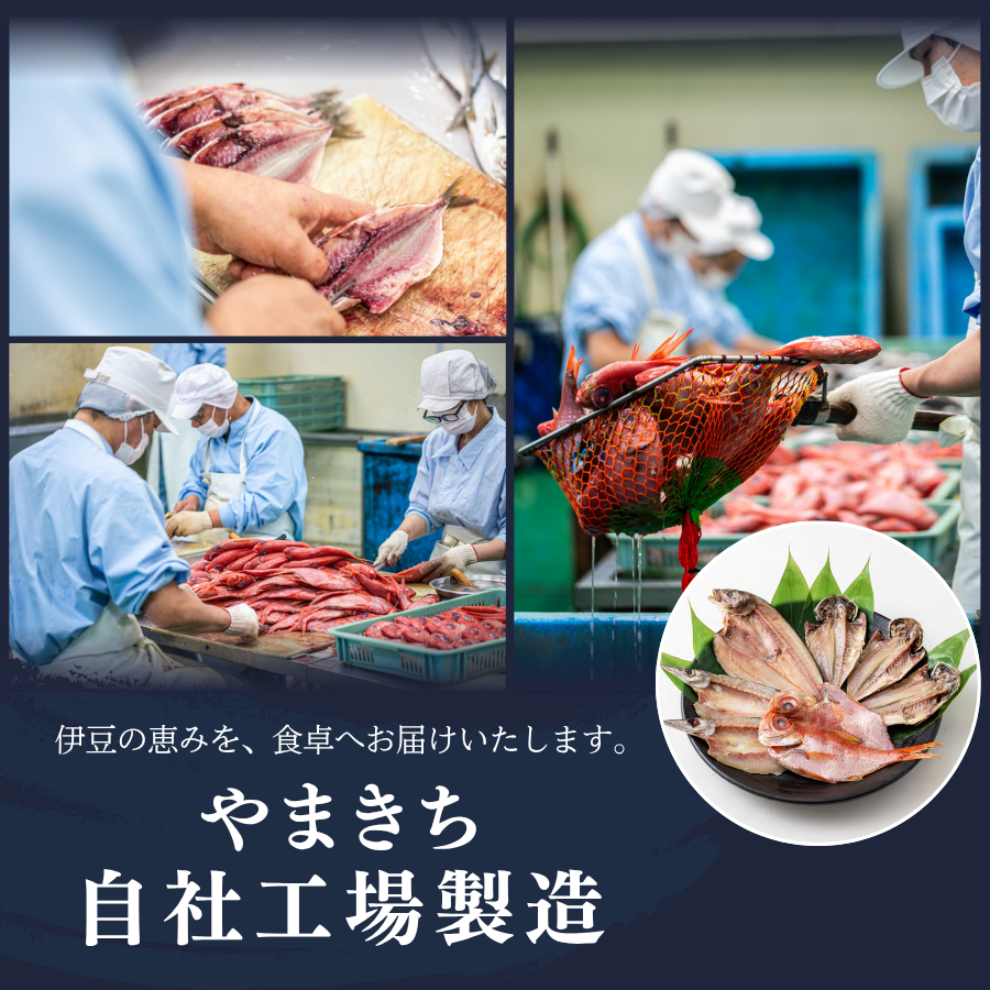 干物 やまきちの厳選ひもの 詰合せ 手作り干物 セット 干物 ひもの 静岡県 南伊豆 伊豆急コミュニティー 干物セット ひもの ひものセット 伊豆 魚介類 詰め合わせ アジ 金目 ほっけ かます 冷凍 定番 人気 静岡県 南伊豆町