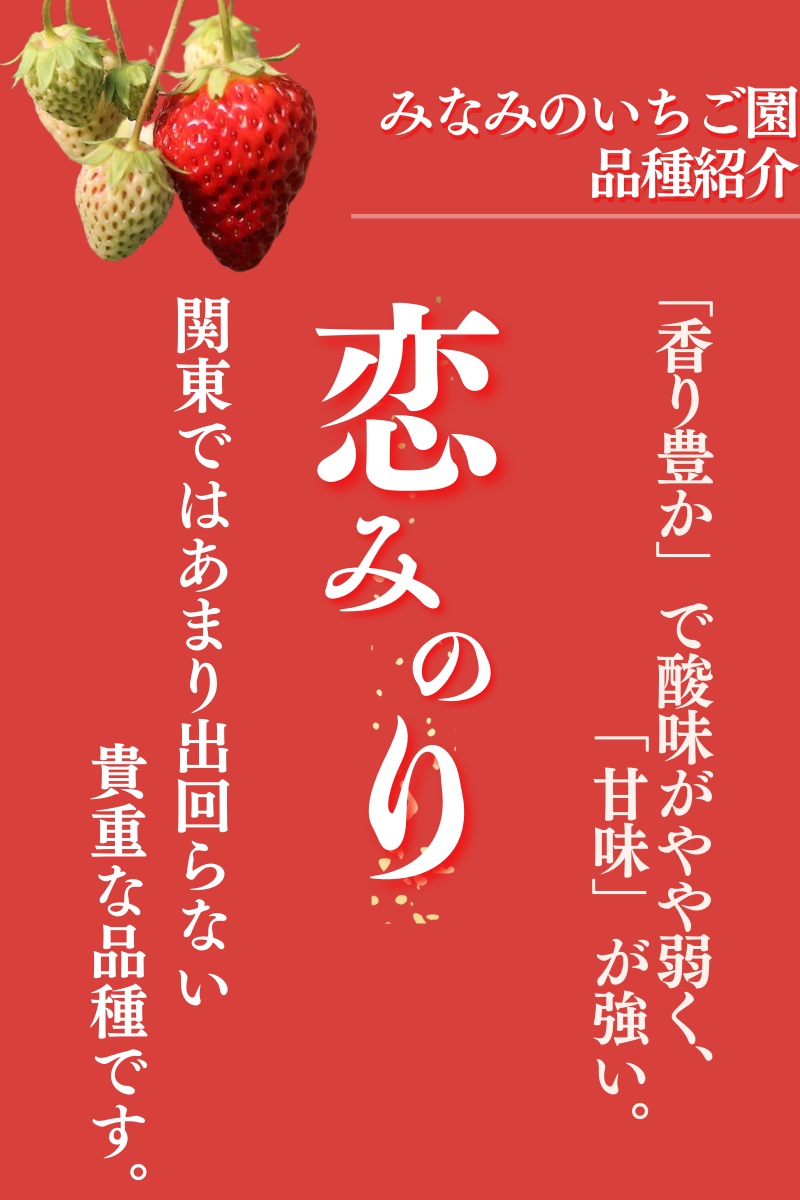 【 先行予約 _ 2025年3月から順次配送】完熟いちご280g 恋みのり 2パック（DXパック） 【 恋みのり いちご 苺 イチゴ 果物 フルーツ くだもの 旬 伊豆 静岡県 期間限定】　<AA-10>