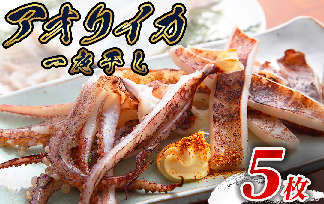 【伊豆漁協加工・直送！】アオリイカ 一夜干し 5枚　【 イカ アオリイカ 一夜干し ゲソ 新鮮 冷凍 直送 美味い おすすめ 水イカ 】