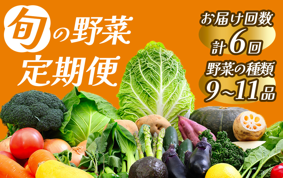 【定期便】 旬の野菜セット 6ヶ月の定期便　【 野菜 やさい きのこ 山菜 セット 定期 旬 定期便 人気 詰め合わせ 6ヵ月 おまかせ 新鮮 】　<BC-57>