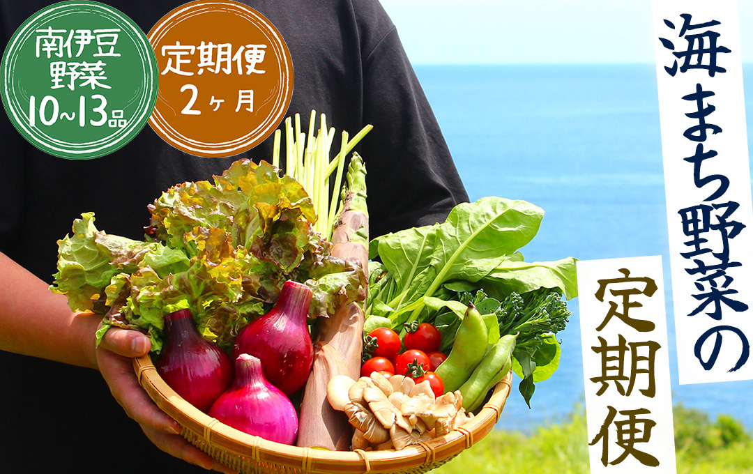 【定期便】 海まち野菜セット 2ヶ月の定期便　【 野菜 やさい きのこ 山菜 セット 定期 旬 定期便 人気 詰め合わせ 2ヵ月 おまかせ 新鮮 】　<BC-36>