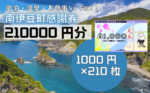 南伊豆町ふるさと寄附感謝券210枚【 伊豆 宿泊 旅行 宿 旅館 観光 グルメ 食事 アクティビティ 南伊豆 クーポン 宿泊券 ヒリゾ浜 SUP カヤック 桜 静岡 】　<BE-22>