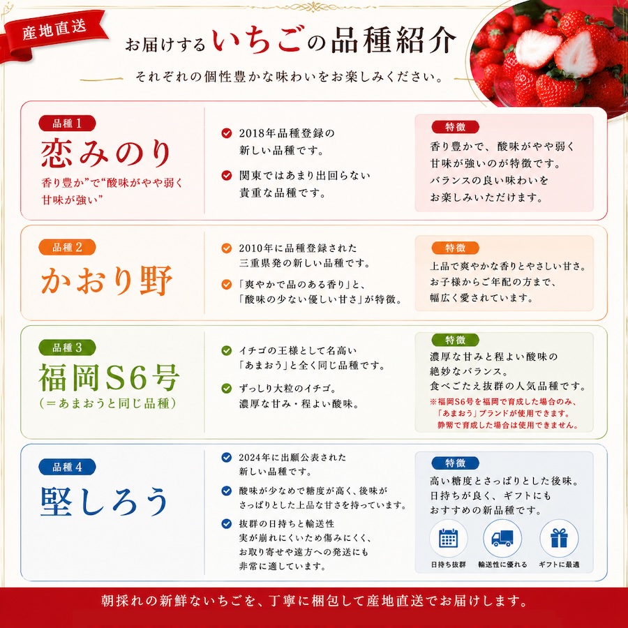 【先行予約＿2027年出荷分】完熟いちご280g 2パック（厳選DXパック）　【 苺 いちご イチゴ かおり野 恋みのり 産地直送 旬 果物 フルーツ くだもの 静岡県 伊豆 南伊豆町 期間限定 】　<AA-8>