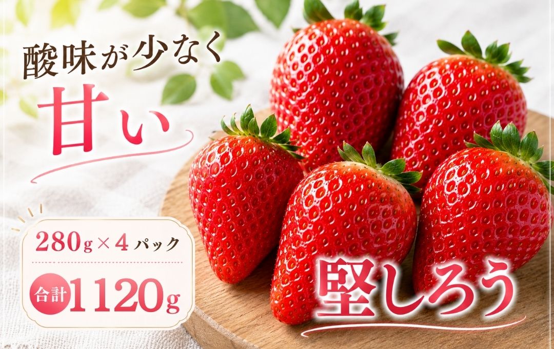 【先行予約＿2027年出荷分】　完熟いちご280g 堅しろう 4パック（DXパック）【 堅しろう いちご 苺 イチゴ 果物 フルーツ くだもの 旬 伊豆 静岡県 期間限定】　