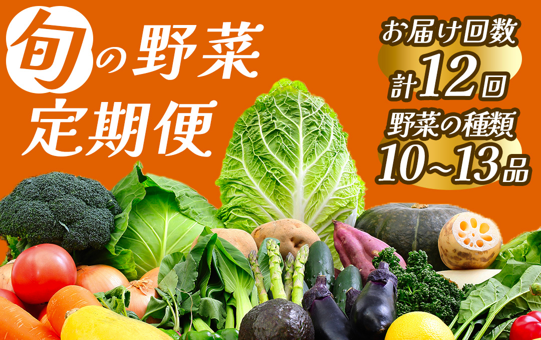 [定期便] 海まち野菜セット 1年間の定期便 [ 野菜 やさい きのこ 山菜 セット 定期 旬 定期便 人気 詰め合わせ 12ヵ月 おまかせ 新鮮 ] [BC-64]