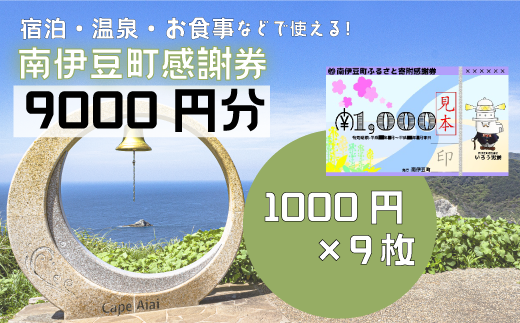 南伊豆町ふるさと寄附感謝券9枚【 伊豆 宿泊 旅行 宿 旅館 観光 グルメ 食事 アクティビティ 南伊豆 クーポン 宿泊券 ヒリゾ浜 SUP カヤック 桜 静岡 】　<BE-3>