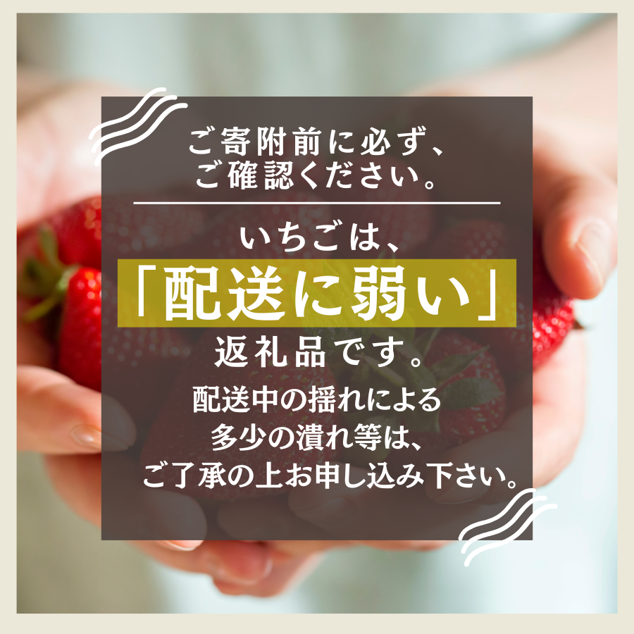 【先行予約＿2026年出荷分】完熟いちご280g 2パック（DXパック）恋みのり、かおり野 から厳選　【 苺 いちご イチゴ かおり野 恋みのり 産地直送 旬 果物 フルーツ くだもの 静岡県 伊豆 南伊豆町 期間限定 】　<AA-8>